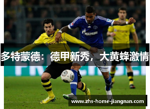 多特蒙德：德甲新秀，大黄蜂激情