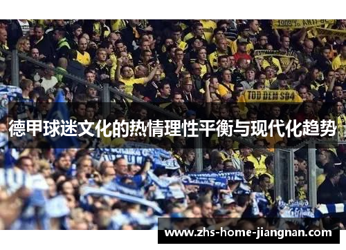 德甲球迷文化的热情理性平衡与现代化趋势